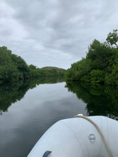 Tenacatita Estuary